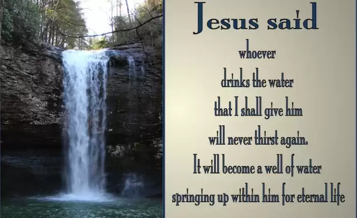 But whosoever drinketh of the water that I shall give him shall never thirst; but the water that I shall give him shall be in him a well of water springing up into everlasting life.