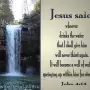 But whosoever drinketh of the water that I shall give him shall never thirst; but the water that I shall give him shall be in him a well of water springing up into everlasting life.