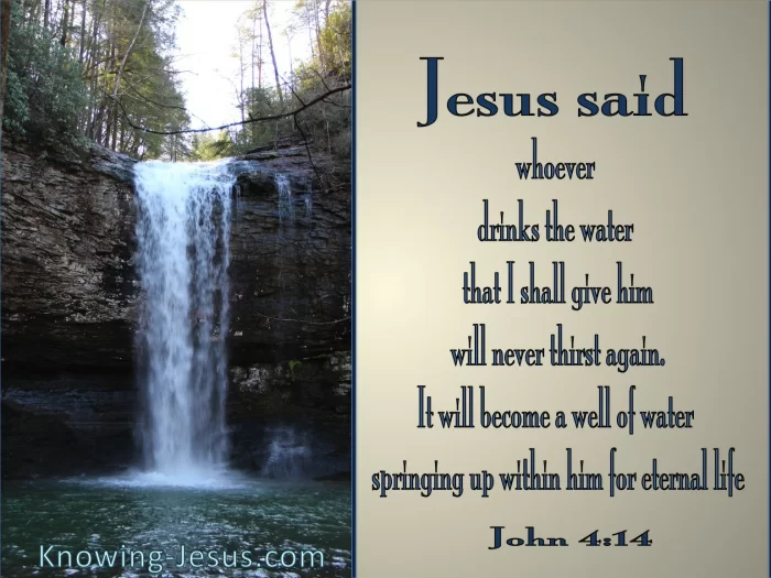 But whosoever drinketh of the water that I shall give him shall never thirst; but the water that I shall give him shall be in him a well of water springing up into everlasting life.